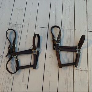 Leather Halters